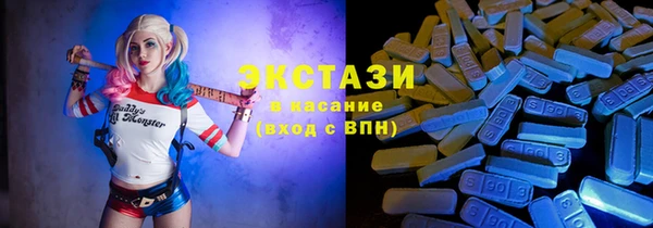 гашик Вязьма