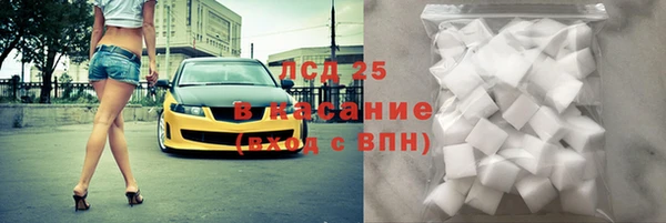 меф Вяземский