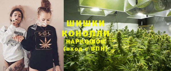гашик Вязьма