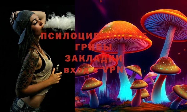 меф Вяземский