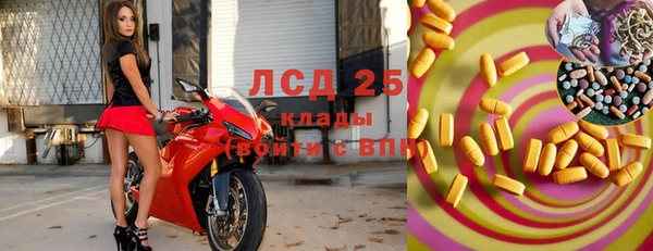 меф Вяземский