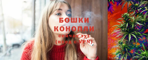 гашик Вязьма